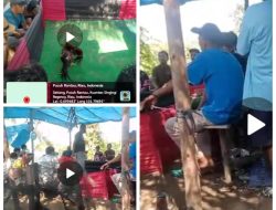 Praktik Perjudian Sabung Ayam Berlangsung di Setiang Wilayah Polsek Kuantan Mudik