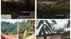 Publik Murka! Dugaan Pemerasan dan PETI di Kuansing Disebut Cemari Marwah Institusi