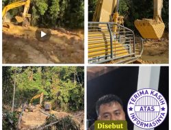 PETI Diduga Kembali Beroperasi di Hutan Lindung Bukit Betabuh, Nama Ican Monti dan Dugaan Keterlibatan Oknum Aparat Kembali Mencuat