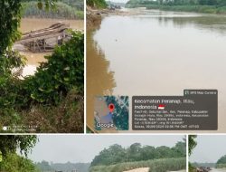 PETI Kembali Marak di Baturijal Peranap, Kapolsek: Penertiban Terus Dilakukan