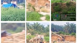 Sudah Berkali-kali Disorot, PETI di HGU PT KTBM Tetap Berjalan, Ada Apa? Aparat dan Instansi Terkait Kembali Disorot