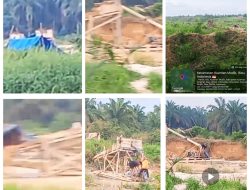 Sudah Berkali-kali Disorot, PETI di HGU PT KTBM Tetap Berjalan, Ada Apa? Aparat dan Instansi Terkait Kembali Disorot