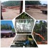Diduga Aktivitas Illegal Logging Berlangsung di Sumpur Kudus, Aktor Utama Disebut Berinisial Jk
