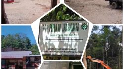 Diduga Aktivitas Illegal Logging Berlangsung di Sumpur Kudus, Aktor Utama Disebut Berinisial Jk