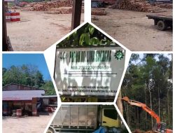 Diduga Aktivitas Illegal Logging Berlangsung di Sumpur Kudus, Aktor Utama Disebut Berinisial Jk