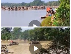 Usai Razia, Ratusan Rakit PETI Kembali Beroperasi di Cirenti – Inuman, Kemana Efek Jera Penegakan Hukum?