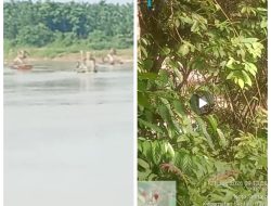 Warga Laporkan Aktivitas PETI dan Dugaan Narkoba di Sentajo Raya, Polisi Akan Selidiki