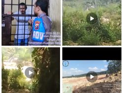 PETI di Serosah Dua Kali Ditertibkan Tanpa Pelaku, Aktivitas Kembali Terekam Beroperasi; Dugaan Pemerasan Oknum Polisi Hardianto Manik Juga Dinilai Jalan di Tempat