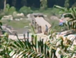 Kembali Mencuat, Warga Desa Kebun Lado Desak Penegakan Hukum atas Dugaan Aktivitas PETI