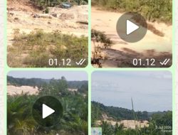 Lebih dari Setengah Tahun Disorot, Aktivitas PETI di Logas Singingi Masih Beroperasi; Wartawan Berulang Kali Alami Intimidasi