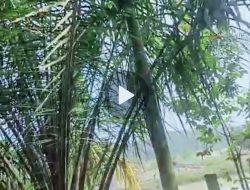 Pembentukan Satgas Terpadu Dipertanyakan, Delapan Unit PETI Masih Beroperasi Dekat Kota Teluk Kuantan