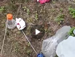 Aktivitas PETI di Desa Sungai Buluh Masih Beroperasi, Tim Investigasi Temukan Dugaan Penyalahgunaan Narkoba