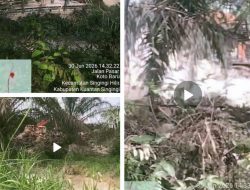 Diduga Aktivitas PETI Masih Marak di Singingi Hilir, Beroperasi Dekat Kantor Camat