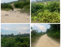 Marak Aktivitas PETI di Pulau Padang Singingi, Warga Minta Wartawan Lakukan Investigasi Lapangan