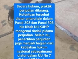 Diduga Arena Sabung Ayam Bermuatan Perjudian Beroperasi di Peranap, Warga Minta Aparat Bertindak