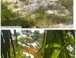 Diduga Aktivitas PETI Beroperasi di Merbau, Desa Koto Kari, Redaksi Masih Telusuri Identitas Aktor di Baliknya