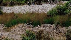 Diduga Milik Isap, Aktivitas PETI di Pulau Kalimanting Terungkap, Seorang Remaja Mengaku Anak Pemilik Rakit Dompeng