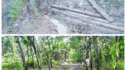 Mengingat Janji Pembangunan, Jalan Penghubung Nias Utara–Nias Barat Tak Kunjung Dibangun