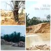 PETI Beroperasi Terang-terangan di Muara Lembu, Hanya Selemparan Batu dari Jalan Umum, Kenapa Bisa?