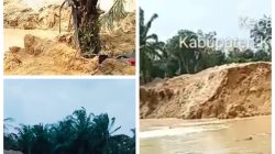 PETI Beroperasi Terang-terangan di Muara Lembu, Hanya Selemparan Batu dari Jalan Umum, Kenapa Bisa?