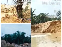 PETI Beroperasi Terang-terangan di Muara Lembu, Hanya Selemparan Batu dari Jalan Umum, Kenapa Bisa?
