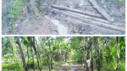 Mengingat Janji Pembangunan, Jalan Penghubung Nias Utara–Nias Barat Tak Kunjung Dibangun