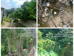 Puluhan Tahun Tak Dibersihkan, Anak Sungai di Snambek Kota Teluk Kuantan Dipenuhi Sampah dan Rumput