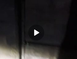 Bukan Sekadar Omon-Omon, Camat Sentajo Raya Kembali Turun Patroli, Tak Ada Ruang bagi Kafe Remang-Remang