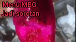 Menu MBG di SMAN 1 Tuhemberua Kembali Dikeluhkan: Lele Diduga Bau, Sayur Basi, Buah Naga Dipersoalkan