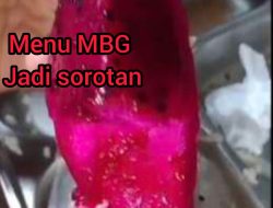 Menu MBG di SMAN 1 Tuhemberua Kembali Dikeluhkan: Lele Diduga Bau, Sayur Basi, Buah Naga Dipersoalkan
