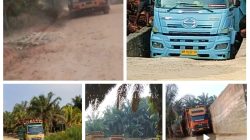 Dugaan TBS dari Wilayah Tesso Nilo Mengalir ke PKS KSP Kuansing, Aparat Diminta Telusuri Rantai Pasok