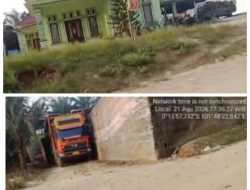 Investigasi Lapangan: TBS Terus Bergerak dari Toro Jaya, Jejak Rantai Pasok Sawit TNTN Dipertanyakan