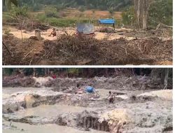 Dugaan Setoran Keamanan Mencuat, PETI Stingkai dan Alat Berat di Pulau Kopuang, Warga Soroti Keruhnya Sumber Air