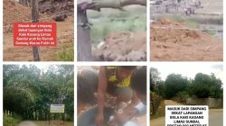 Ratusan Rakit PETI Kembali Ditemukan, Geraldo Kanit Tipidter Tak Merespons, Kapolres Kuansing Diminta Evaluasi