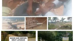 PETI Makin Terang-Terangan, Geraldo Kanit Tipidter Bungkam, Kapolres Diminta Evaluasi