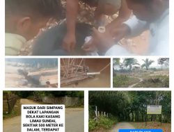 PETI Makin Terang-Terangan, Geraldo Kanit Tipidter Bungkam, Kapolres Diminta Evaluasi