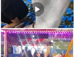 Baru Ditindaklanjuti: Aktivitas Kacang Berundian di Pasar Malam Sungai Buluh Kembali Dilaporkan