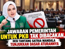 Jawaban Pemerintah untuk PKB Tak Dibacakan, Desi Tantang Satria Mandala Tunjukkan Dasar Aturannya