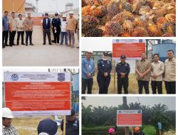 Enam PKS di Kuansing Jadi Sorotan Usai Disidak Komisi XII DPR RI dan Gakkum KLH, Publik Pertanyakan Pengawasan