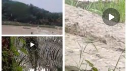 Aktivitas PETI Terpantau Masih Berlangsung di Sekitar Mapolres dan Kejaksaan Negeri Kuansing
