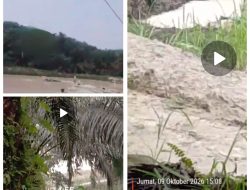 Aktivitas PETI Terpantau Masih Berlangsung di Sekitar Mapolres dan Kejaksaan Negeri Kuansing