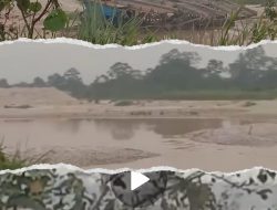 Aktivitas PETI di Singingi Kembali Dilaporkan Warga, Kapolsek Edi Winoto: Akan Kami Tindak Lanjuti