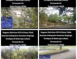 PETI Kembali Beroperasi Dekat Kantor DPRD Kuansing, Ketua DPRD Respons Cepat: Harus Ditertibkan
