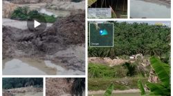 PETI di Pulau Lowe Pangean Kembali Disorot, Ekskavator Beroperasi, Tawaran dan Pengakuan Pemberian Uang  Terungkap