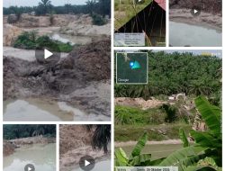 PETI di Pulau Lowe Pangean Kembali Disorot, Ekskavator Beroperasi, Tawaran dan Pengakuan Pemberian Uang  Terungkap