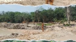 Camat Sentajo Raya Klaim Tak Ada Aktivitas PETI Saat Dicek, Informasi Narasumber Picu Pertanyaan Baru