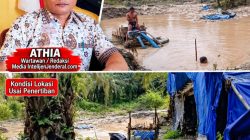 PETI di Desa Jake Ditertibkan Setelah Disorot Media, ATHIA Pertanyakan Respons Tiga Pejabat Kepolisian